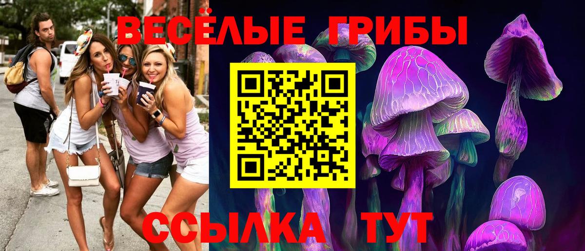 Псилоцибиновые грибы Magic Shrooms  Вход с VPN  Кимовск 