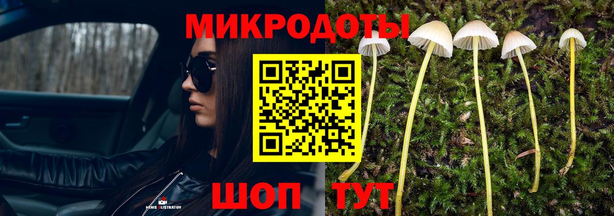 Псилоцибиновые грибы прущие грибы Кимовск